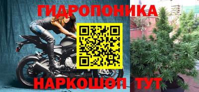 бошки Новозыбков
