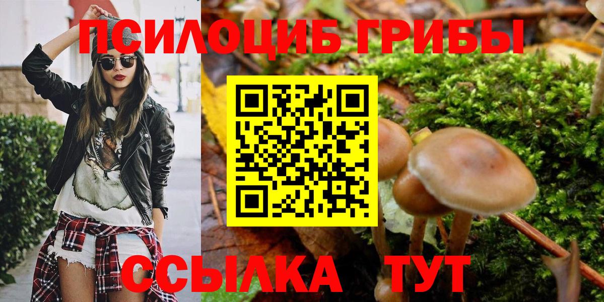 Сызрань  где найти   Вход с VPN  Псилоцибиновые грибы мицелий 